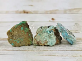 B.C. Turquoise Specimens