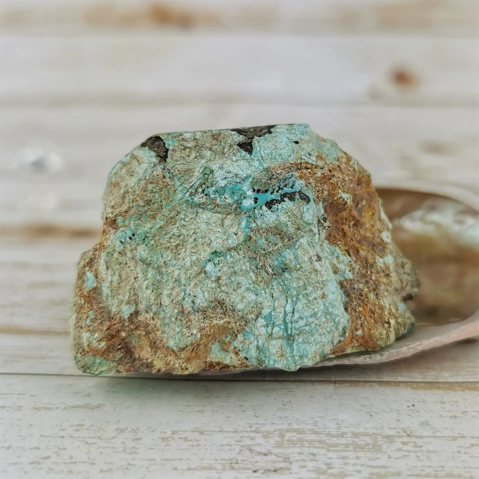 B.C. Turquoise Specimens