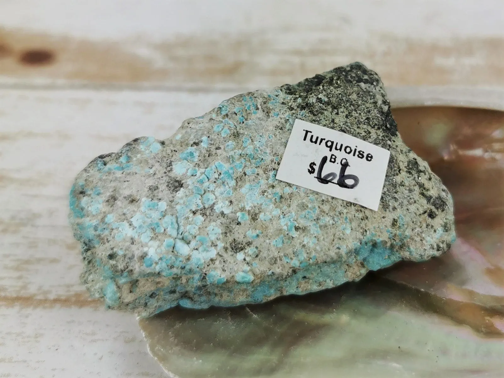 B.C. Turquoise Specimens