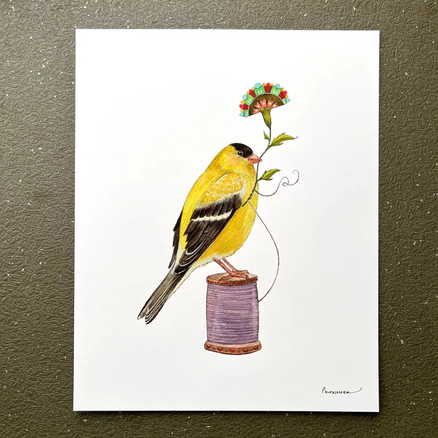 Floral Finch 8x10 Print